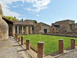 From Pompeii/Naples: Vesuvius and Herculaneum Tour